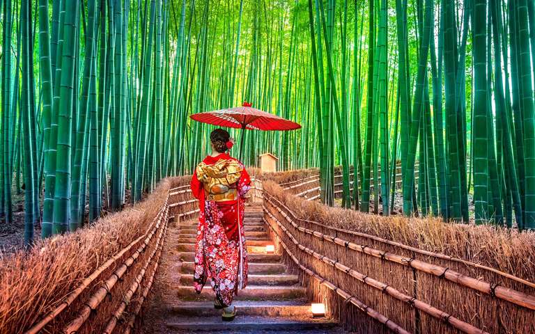 Tokyo, Kyoto, Alps and Fuji trip - alternative tour available