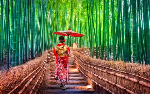 Tokyo, Kyoto, Alps And Fuji - 8 Days