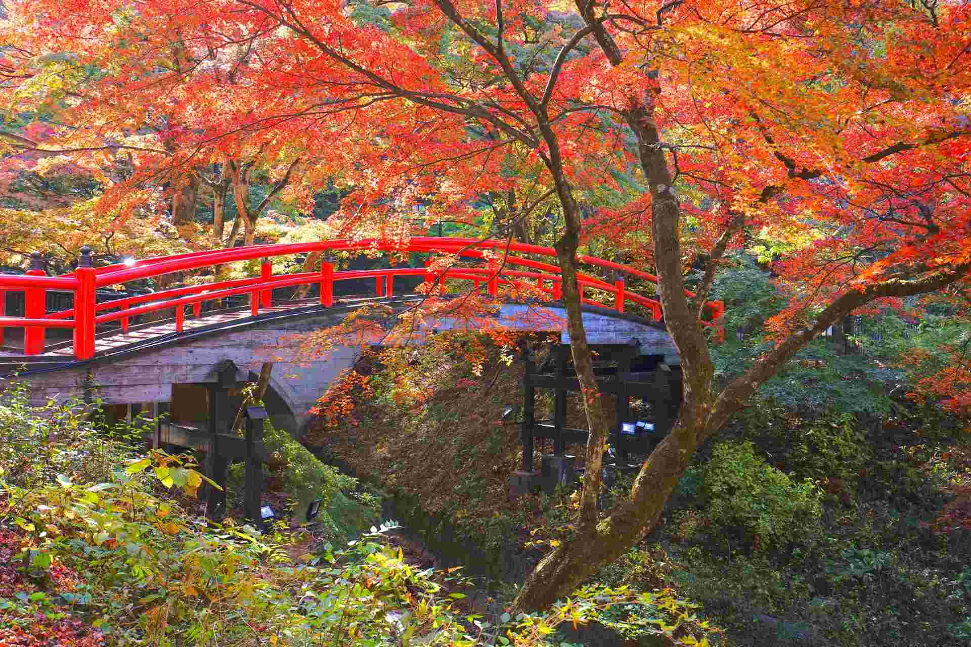 Tokyo, Kyoto and Alps