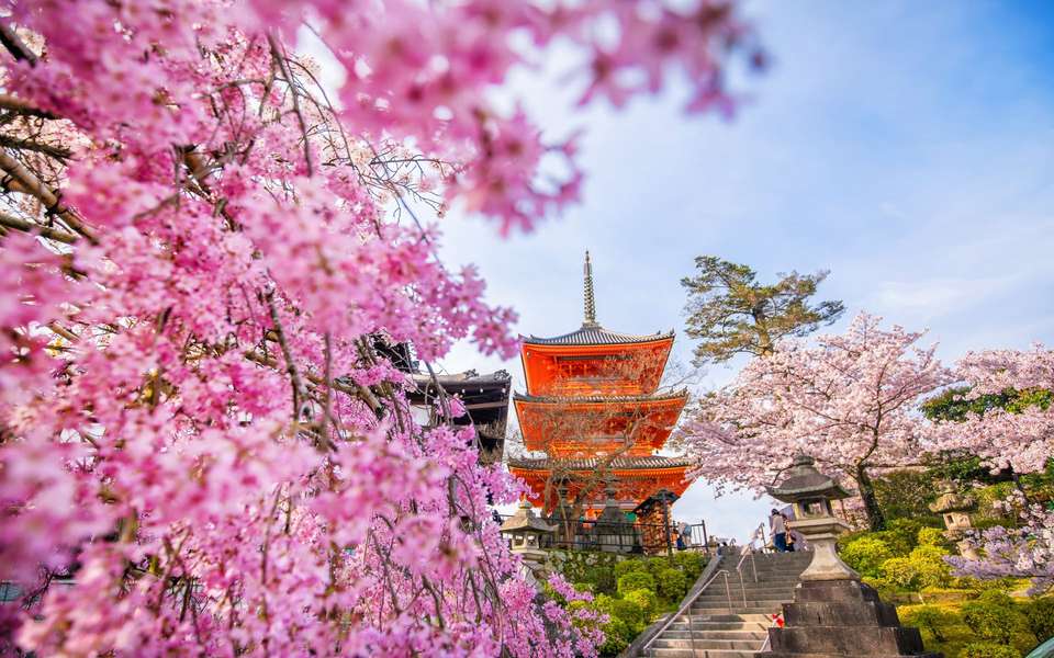 Tokyo, Kyoto and Nakasendo Route - undefined - Image 6