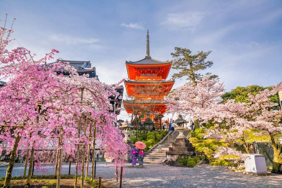 Tokyo, Kyoto and Nakasendo Route - undefined - Image 8