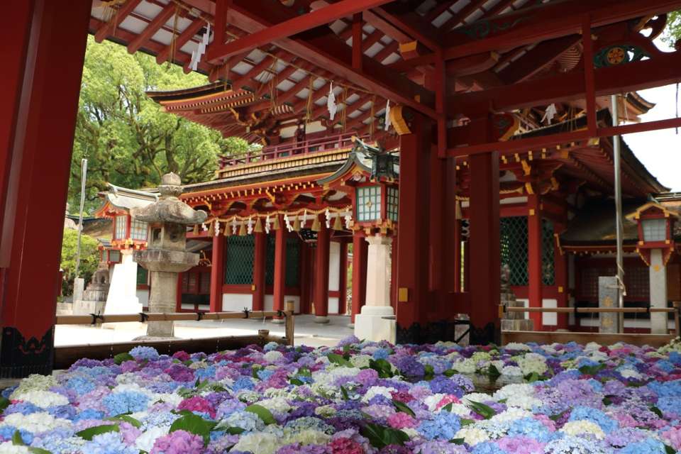 Tokyo, Mount Fuji, Kyoto and Treasures of Kyushu - Europamundo - Japan - Image 6