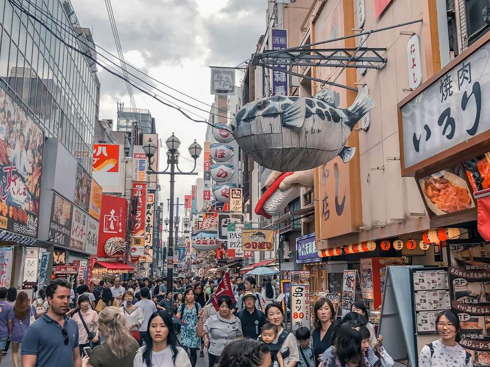 Tokyo, Osaka & Kyoto Discovery - 9 days - On The Go Tours - Japan - Image 5