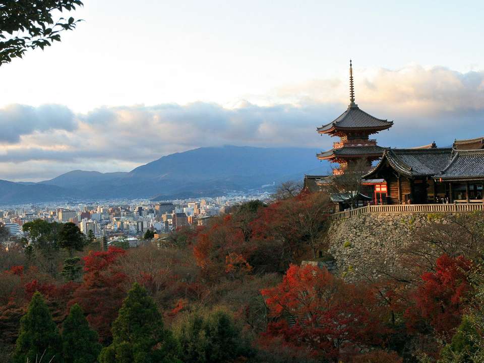 Tokyo to Kyoto - 10 days - On The Go Tours - Japan - Image 8