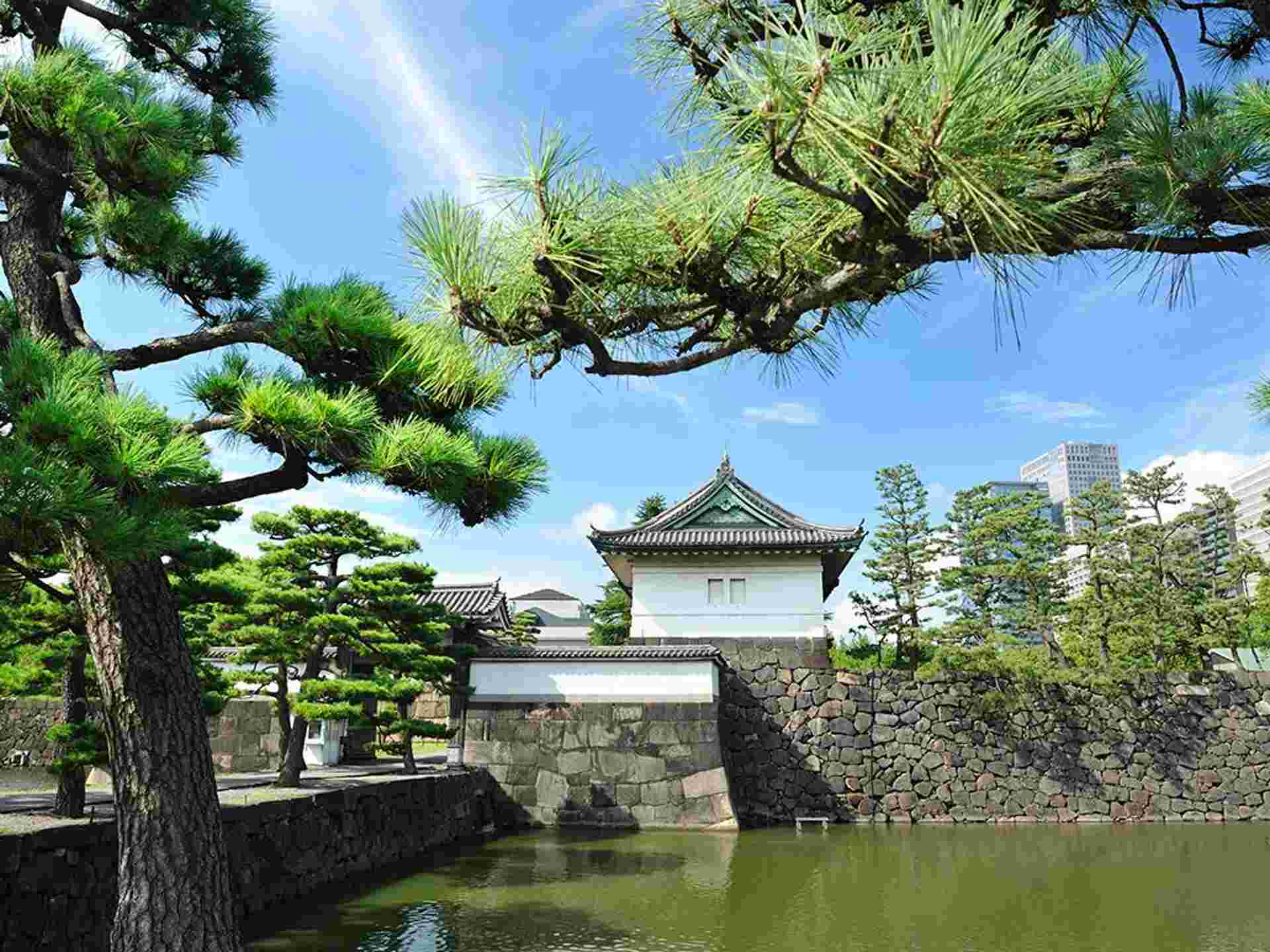 Tokyo Welcome Package 3D/2N (without Airport Transfer)
