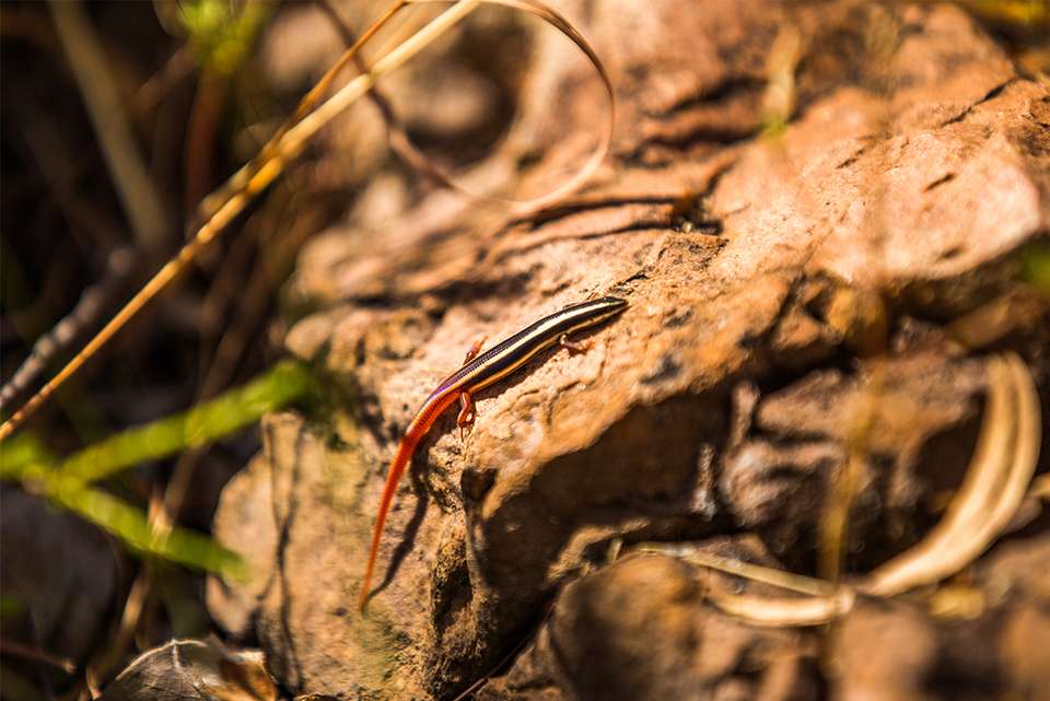 Top End & Kakadu Adventure - Intrepid Travel - Australia