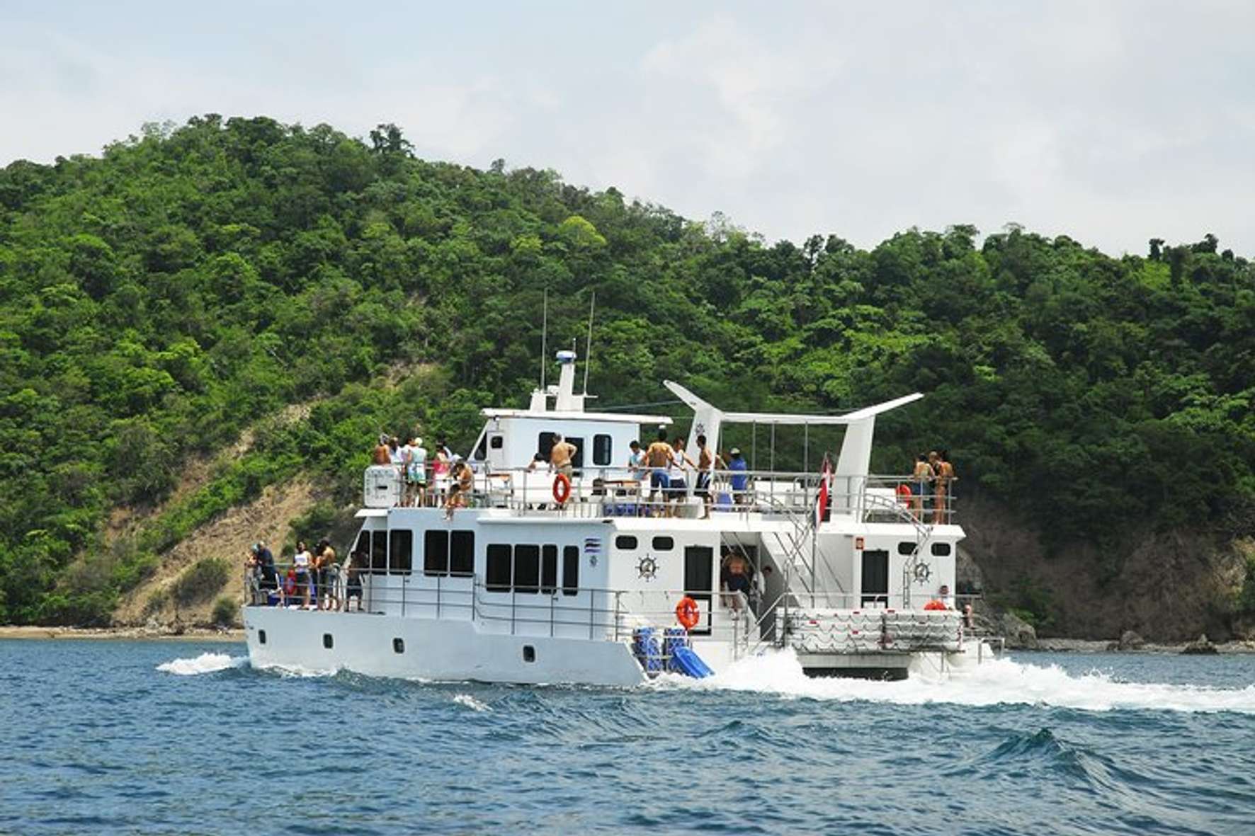 Image 1 of 11
