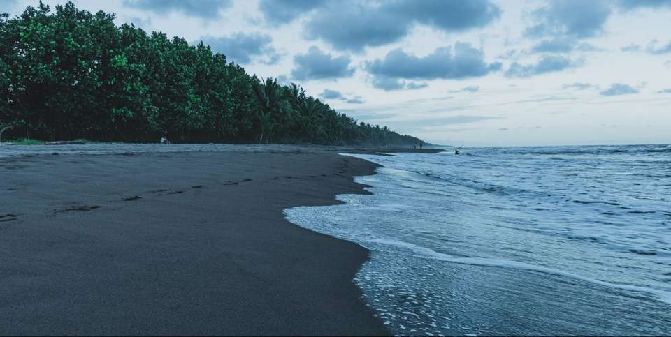 Tortuguero National Park Adventure 3D/2N - Bamba - Costa Rica - Image 5