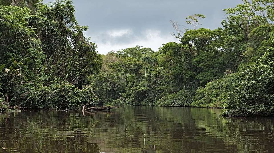 Tortuguero National Park Adventure - Coast To Coast Adventures - Costa Rica - Image 2
