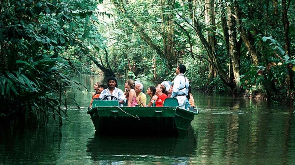 Tortuguero National Park Adventure - Coast To Coast Adventures - Costa Rica - Image 3
