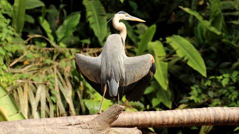 Tortuguero National Park Adventure - May 2027