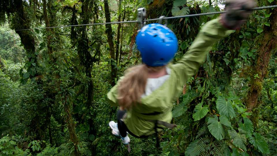 Tortuguero National Park Tour – 4-Day Independent Adventure - G Adventures - Costa Rica - Image 3