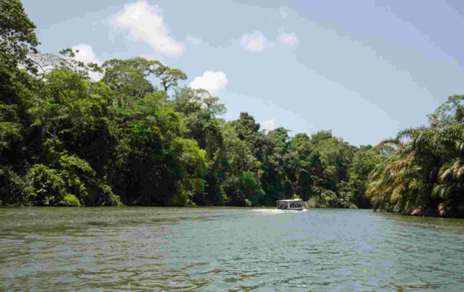 Tortuguero Trails & Pacuare Rapids 4D/3N