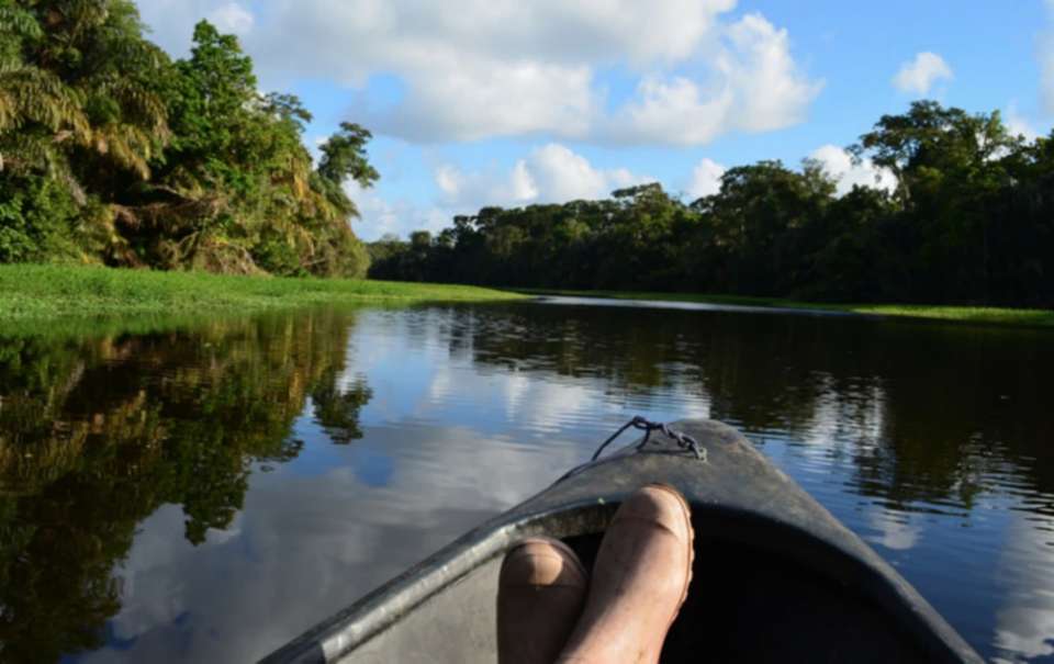 Tortuguero Trails & Pacuare Rapids 4D/3N - Bamba - Costa Rica - Image 5