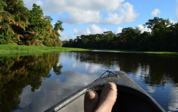 Image 5 of 5
