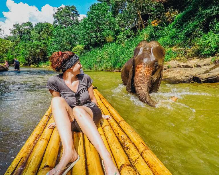 Total Asia trip - alternative tour available