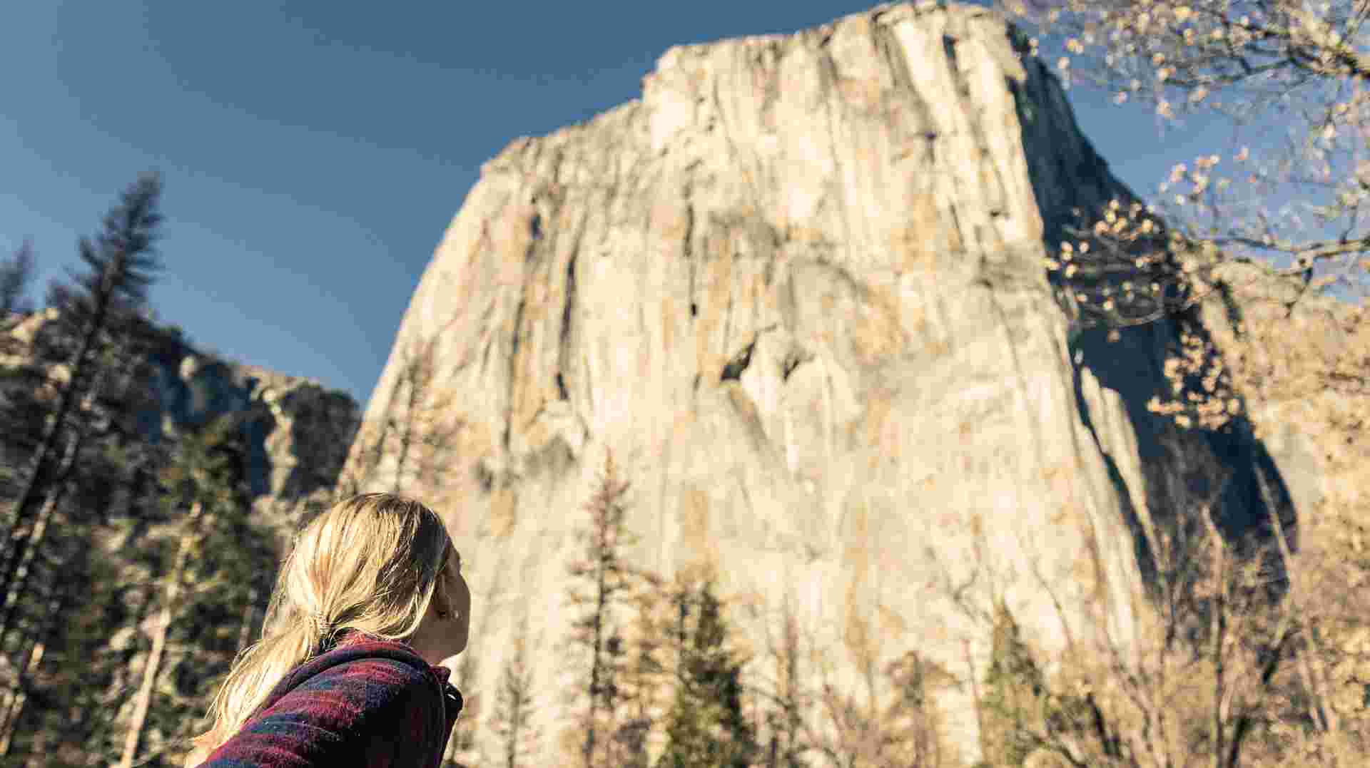 San Francisco: Yosemite and Giant Sequoias Tour