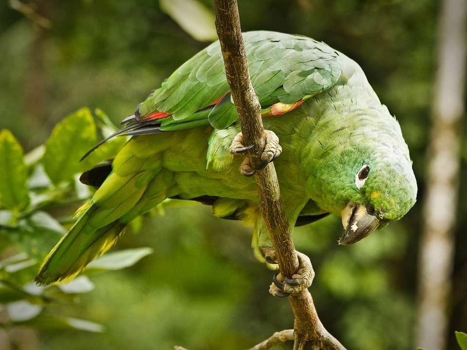 Totally Ecuador - 9 days - On The Go Tours - Ecuador - Image 6