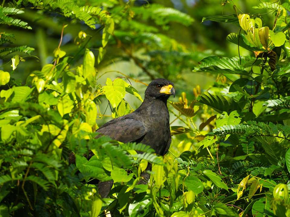 Totally Ecuador & Galapagos Cruise - 12 days - On The Go Tours - Ecuador - Image 4