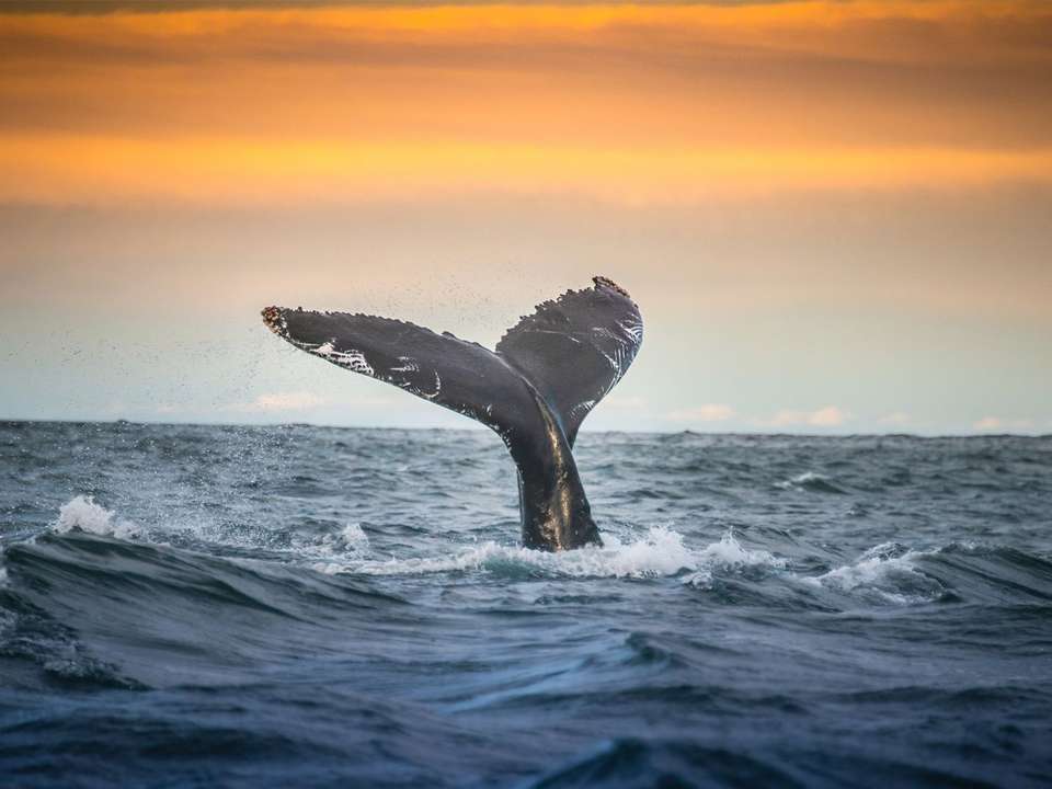 Totally Iceland - 7 days - On The Go Tours - Iceland - Image 4
