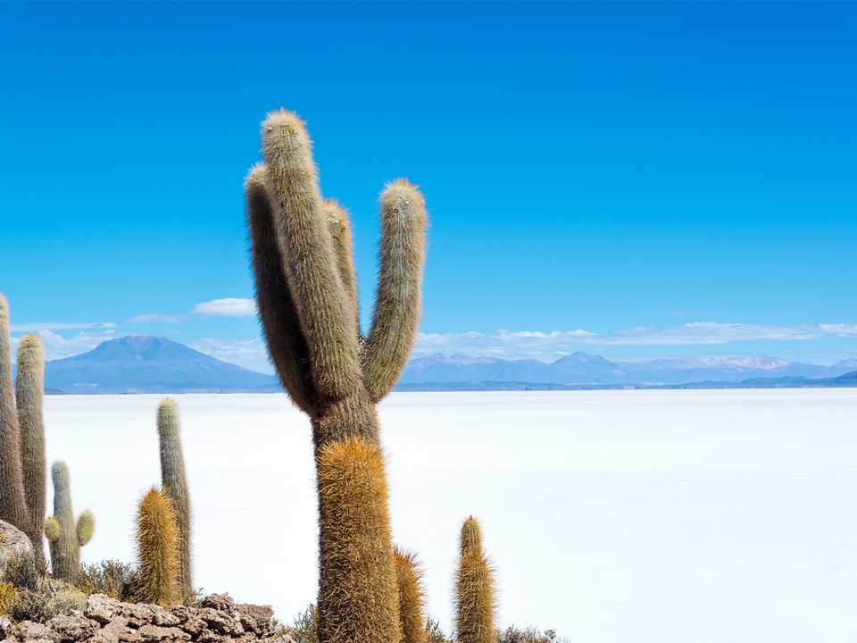 Totally Peru & Bolivia - 13 days - On The Go Tours - Peru - Image 6