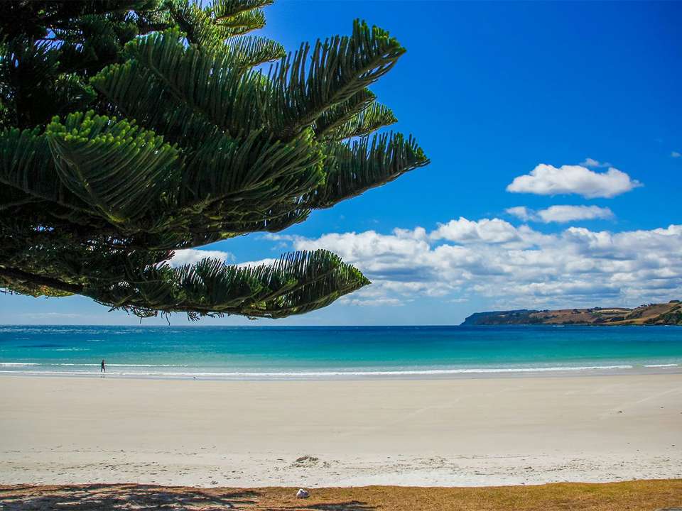 Totally Tasmania - 6 days - On The Go Tours - Australia - Image 4