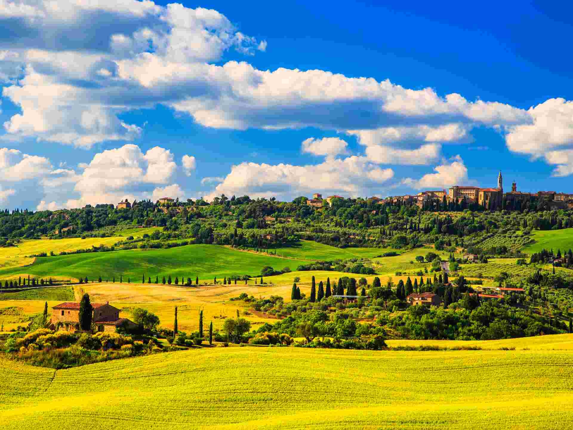 Totally Tuscany - 8 days