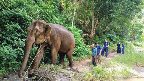 Hanoi Local Boat Rides Tour: Heart Of Vietnam And Thailand 10 Days- Hanoi/ Chiang Mai