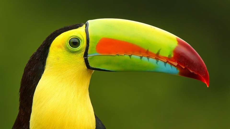 Tour Costa Rica Fly & Drive - Destiny Travel Costa Rica - Costa Rica - Image 7