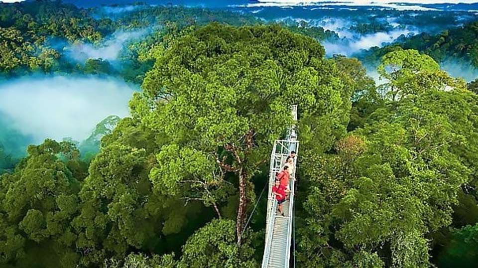 Tour Costa Rica Fly & Drive - Destiny Travel Costa Rica - Costa Rica - Image 12