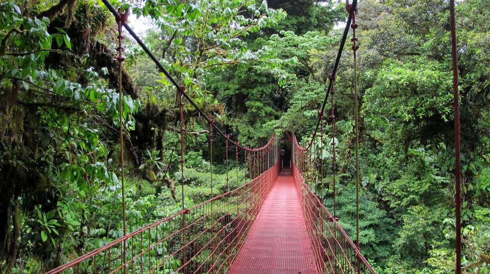 Tour Costa Rica Fly & Drive - Destiny Travel Costa Rica - Costa Rica - Image 14