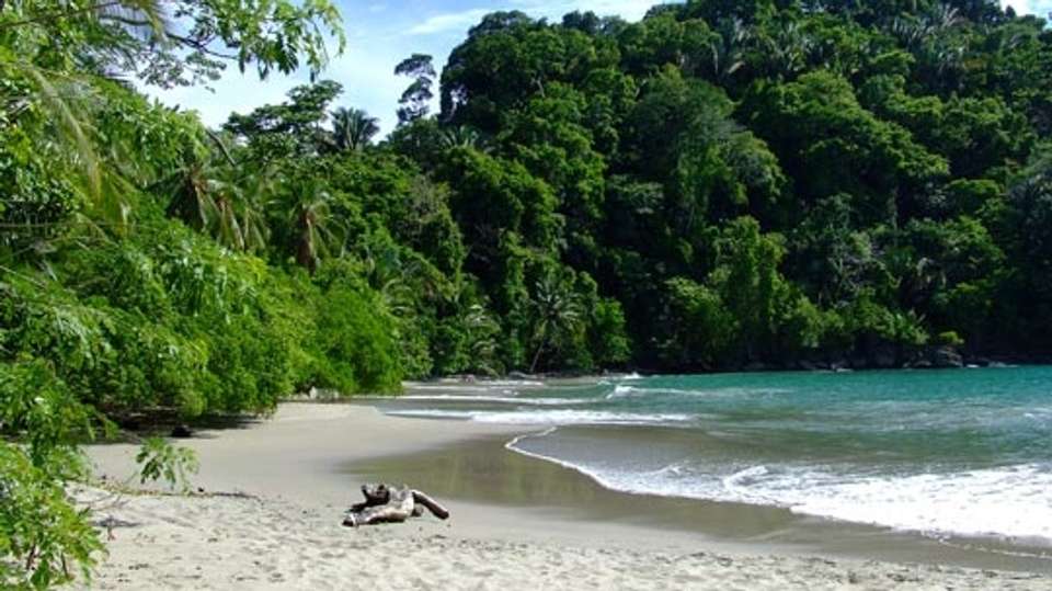 Tour Costa Rica Fly & Drive - Destiny Travel Costa Rica - Costa Rica - Image 15
