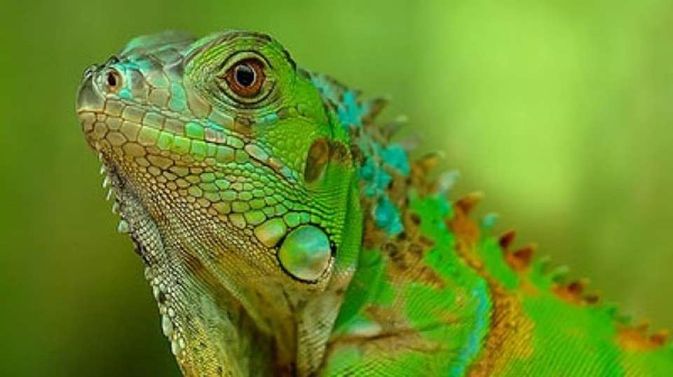 Tour Costa Rica Fly & Drive - Destiny Travel Costa Rica - Costa Rica - Image 1