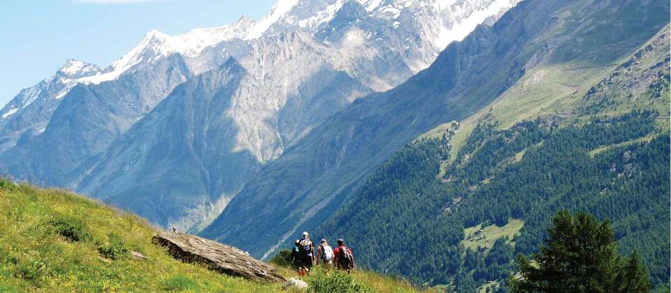 Tour de Monte Rosa Guided Hike - Utracks - Switzerland - Image 7