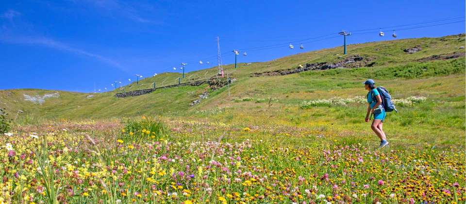 Tour de Monte Rosa Guided Hike - Utracks - Switzerland - Image 8