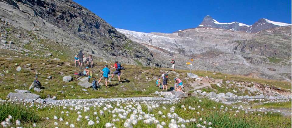 Tour de Monte Rosa Guided Hike - Utracks - Switzerland - Image 11