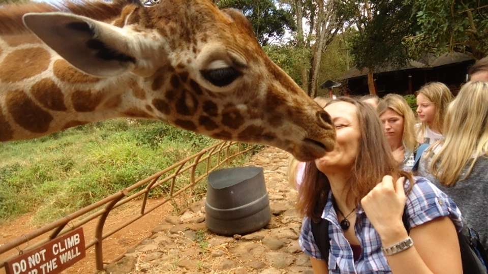 Tour Giraffe Center & Elephant Orphanage From Nairobi - Gracepatt Ecotours Kenya - Kenya - Image 3
