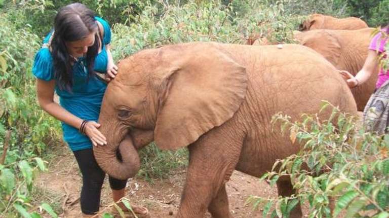 Kenya Photography Tour: Tour Giraffe Center & Elephant Orphanage From Nairobi
