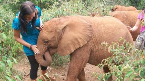 Kenya Tours For Young Adults: Tour Giraffe Center & Elephant Orphanage From Nairobi
