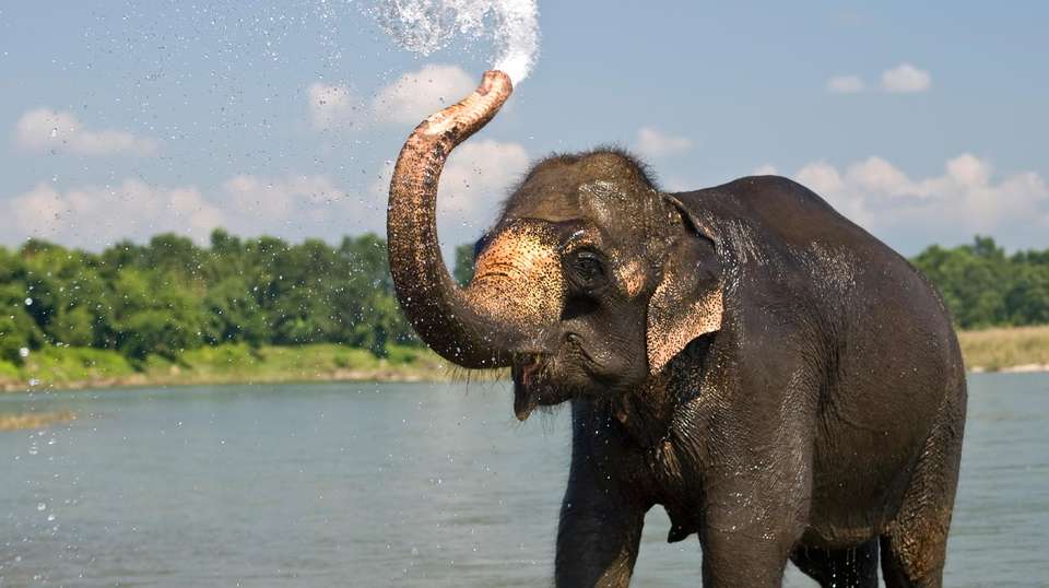 Tour of Kathmandu, Pokhara & Chitwan - Breakfree Adventures Pvt Ltd - Nepal - Image 3