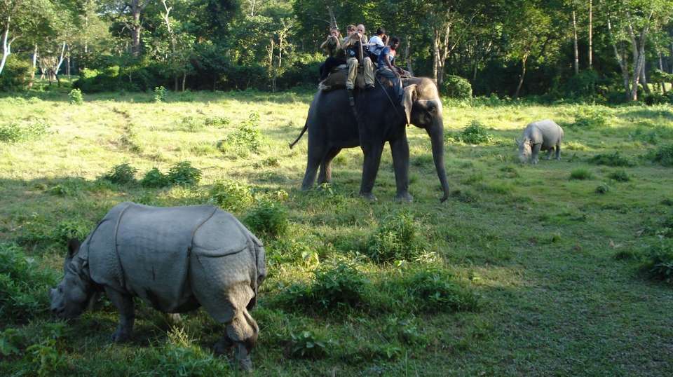Tour of Kathmandu, Pokhara & Chitwan - Breakfree Adventures Pvt Ltd - Nepal - Image 4