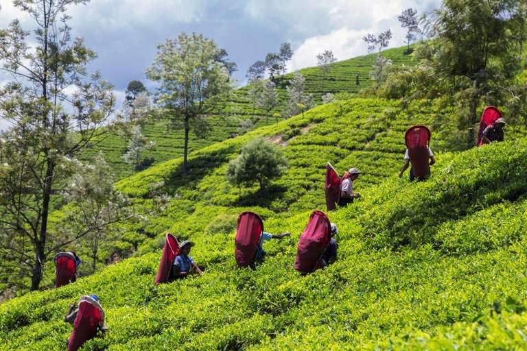 Tour On The Hills, Private Tour