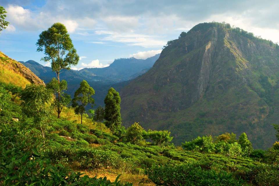 Sri Lanka Hill Country & Heritage Escape, Private Tour - Destination Services - Sri Lanka - Image 3