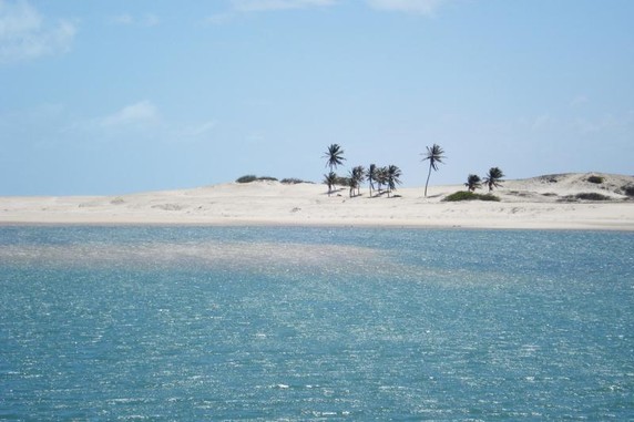 Image 2 of 6