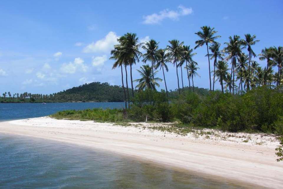 Tour To Carneiros Beach With Catamaran Ride - Tangol Tours - Brazil - Image 6