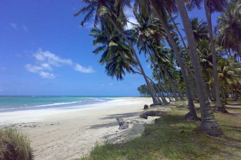 Tour To Carneiros Beach With Catamaran Ride