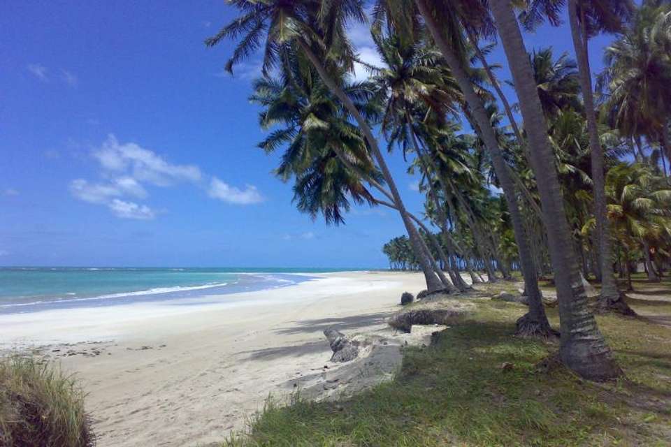Tour To Carneiros Beach With Catamaran Ride - Tangol Tours - Brazil - Image 1