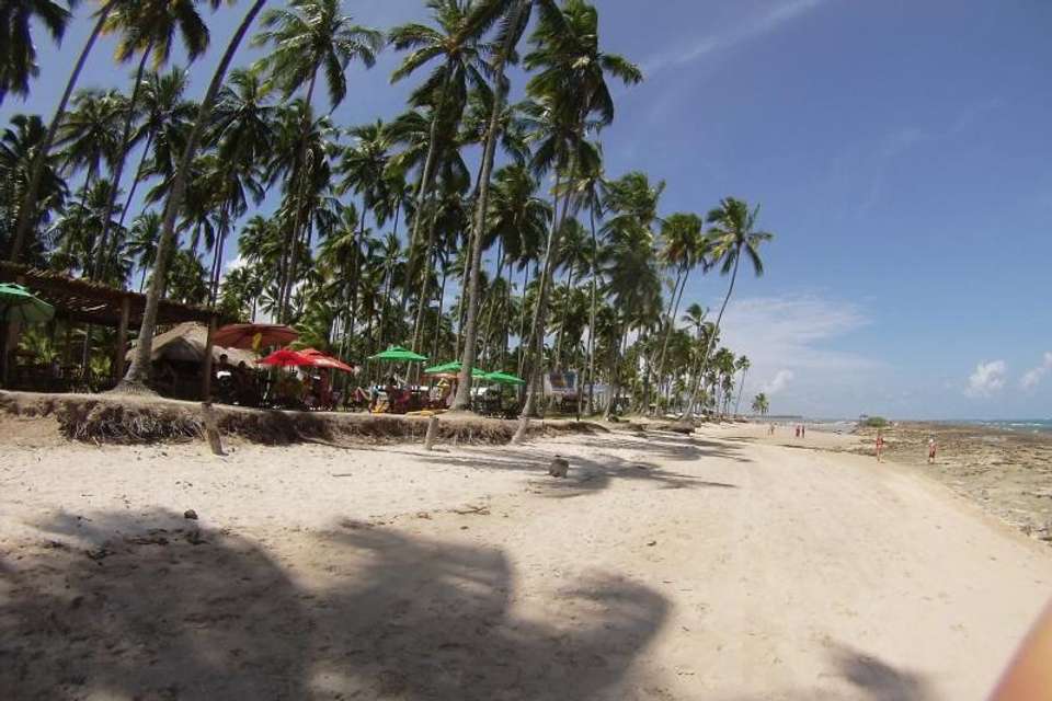 Tour To Carneiros Beach With Catamaran Ride - Tangol Tours - Brazil - Image 2