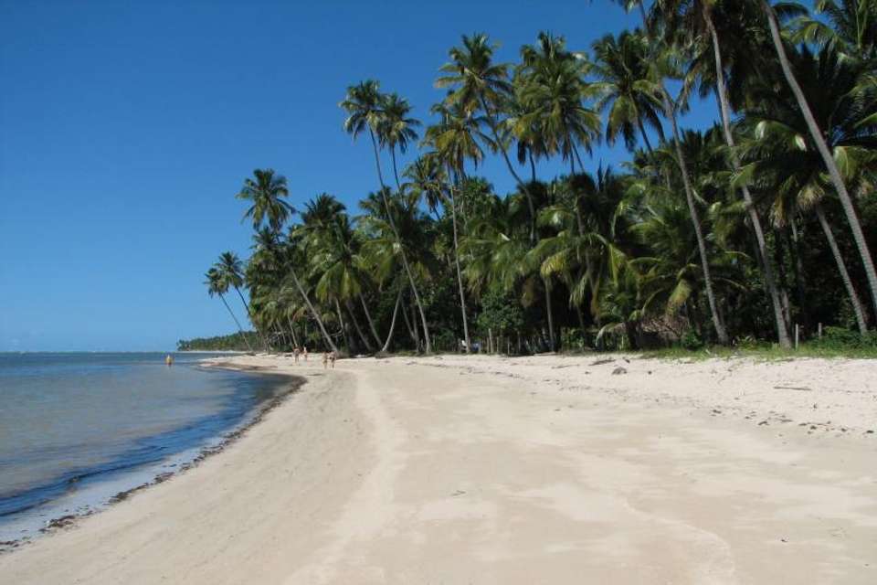 Tour To Carneiros Beach With Catamaran Ride - Tangol Tours - Brazil - Image 4