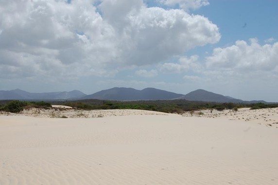 Image 5 of 6